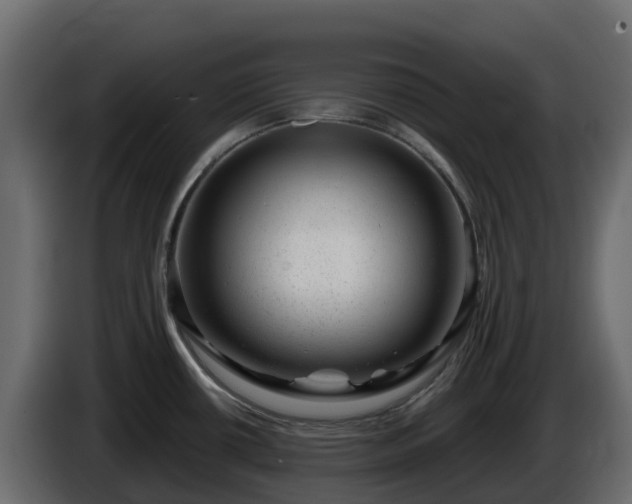 X0000085801434200703231320