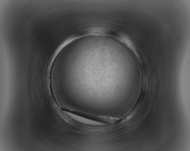 X0000085801435200703231320