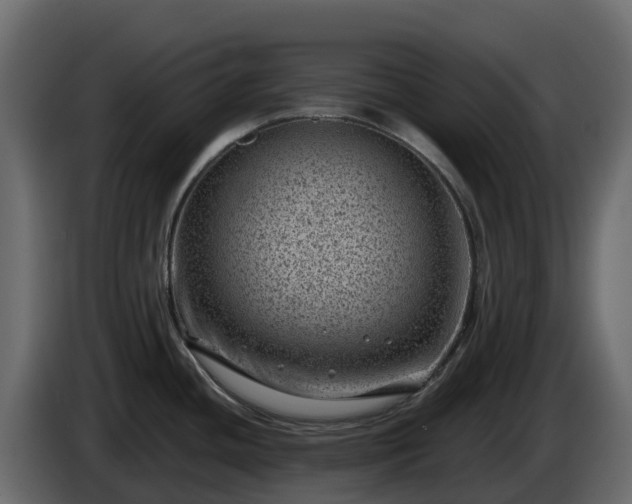 X0000085801436200703231320