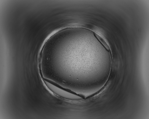 X0000085801437200703231320
