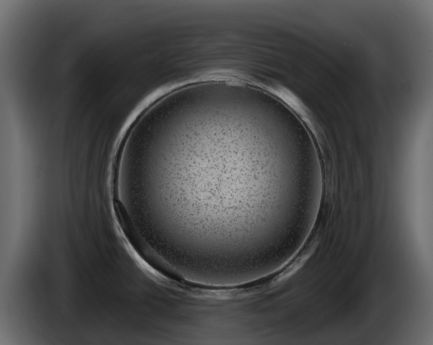 X0000085801438200703231320