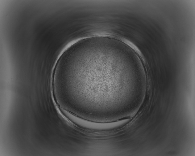 X0000085801439200703231320
