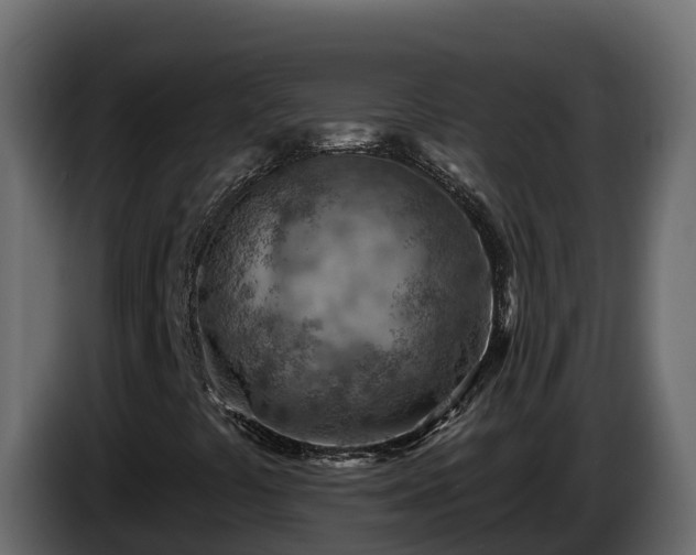 X0000085801441200703231319