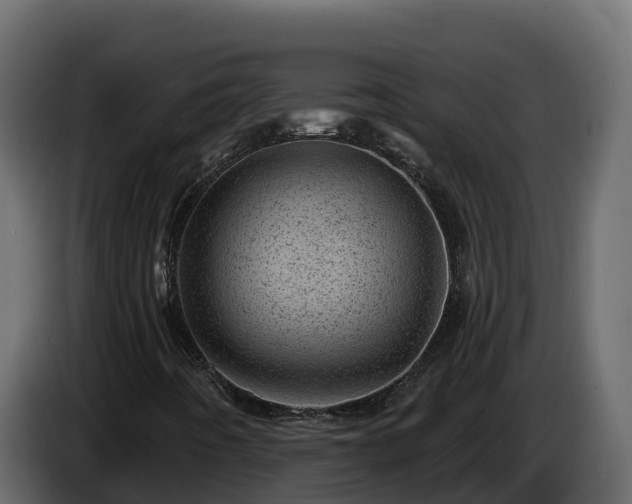 X0000085801442200703231319