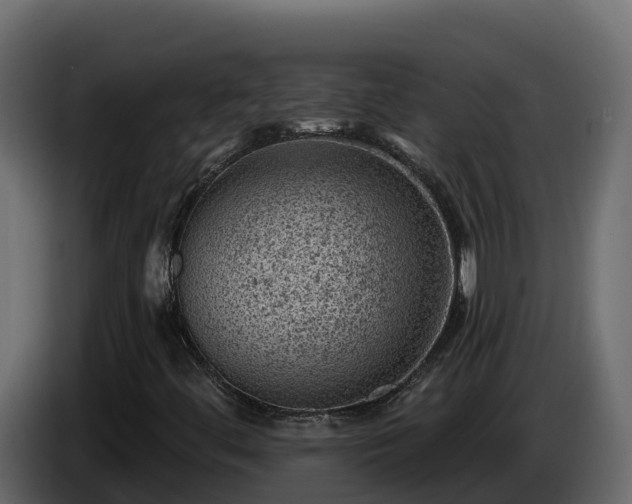 X0000085801444200703231319