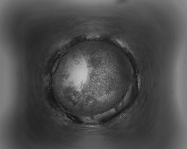 X0000085801445200703231319