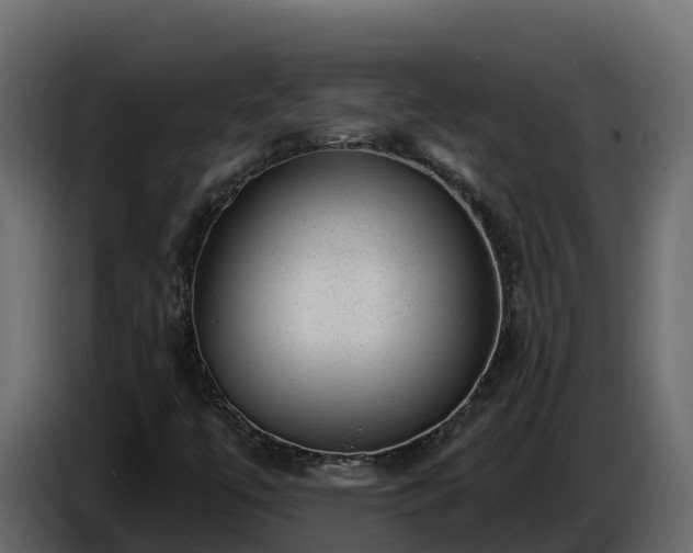 X0000085801447200703231319
