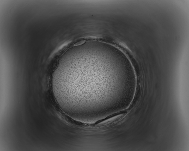 X0000085801448200703231319