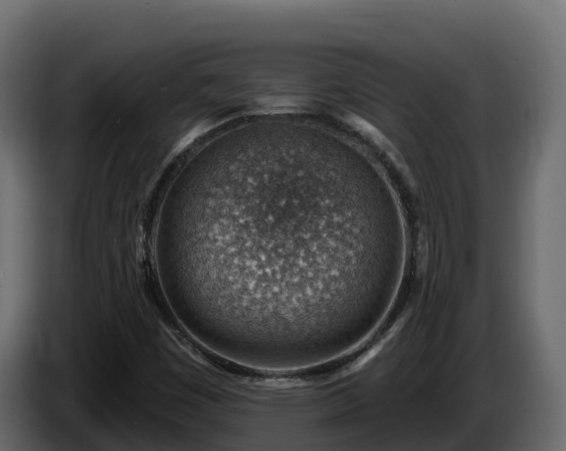 X0000085801449200703231319