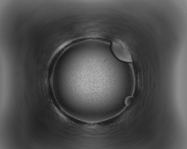 X0000085801452200703231319