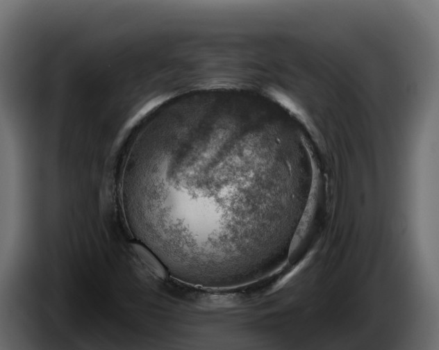 X0000085801453200703231319