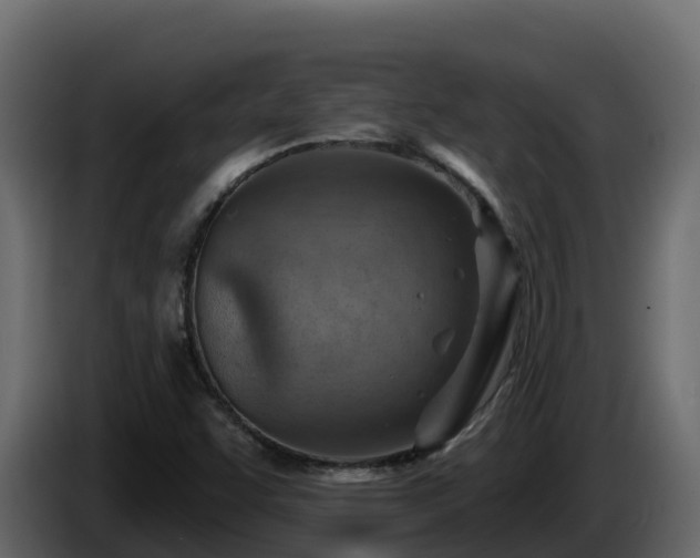 X0000085801455200703231319