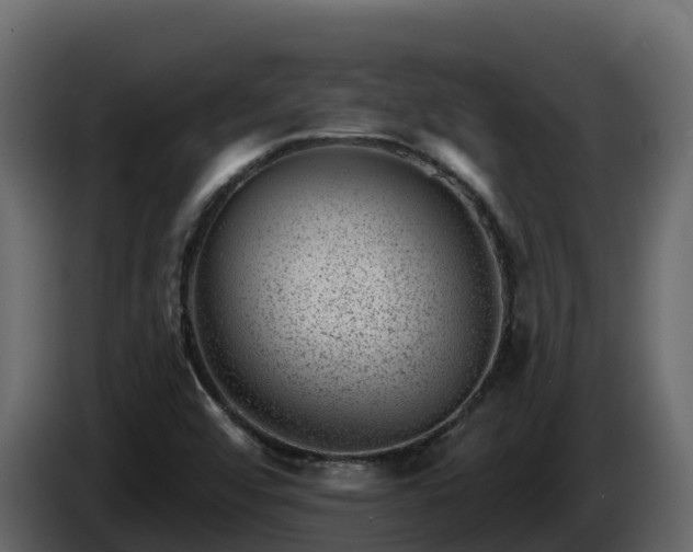 X0000085801456200703231319