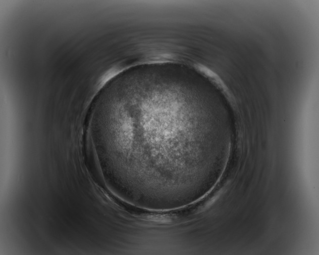 X0000085801457200703231319