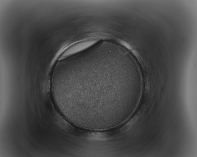 X0000085801459200703231319