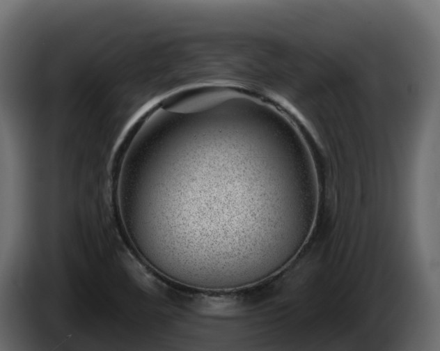 X0000085801460200703231319