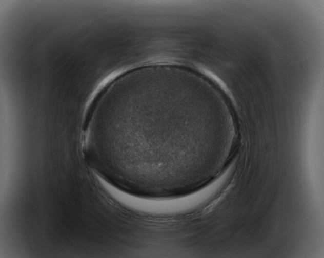 X0000085801461200703231319