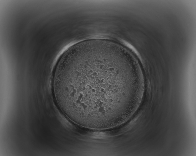 X0000085801463200703231319