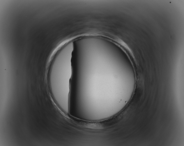 X0000085801464200703231319