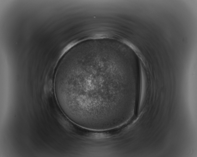 X0000085801465200703231319