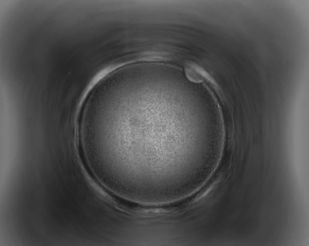 X0000085801467200703231319