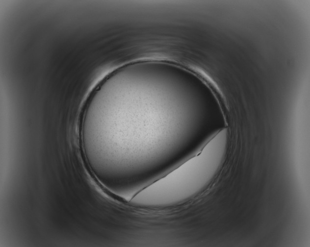 X0000085801468200703231319