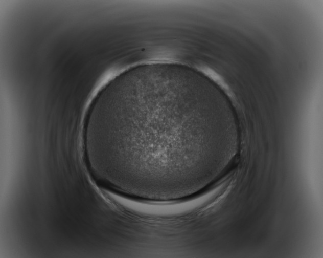 X0000085801469200703231319