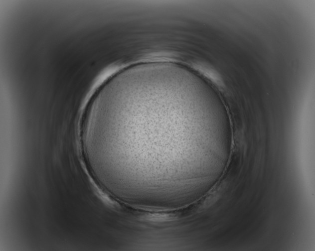 X0000085801470200703231319