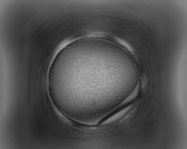 X0000085801471200703231319