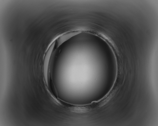 X0000085801473200703231319
