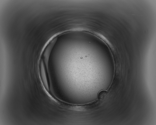 X0000085801476200703231319