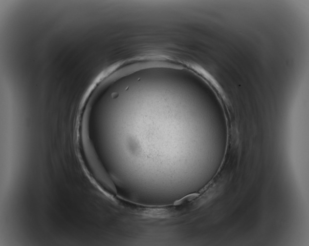 X0000085801477200703231319