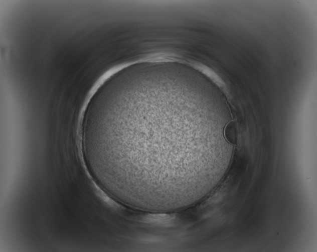 X0000085801478200703231319
