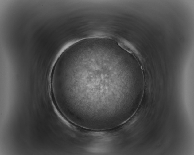 X0000085801479200703231319