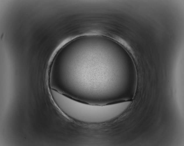 X0000085801480200703231319