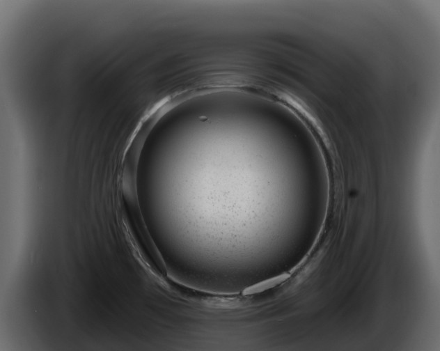 X0000085801481200703231319