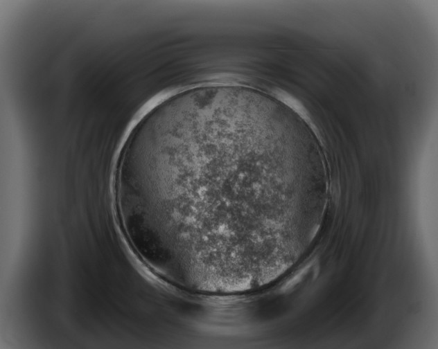 X0000085801482200703231319