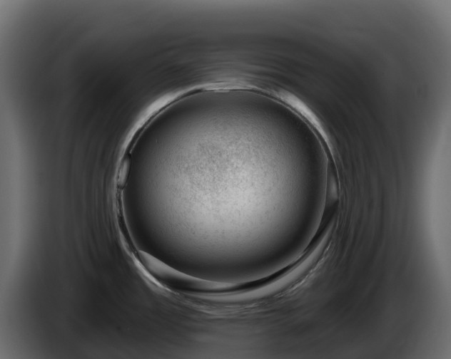 X0000085801485200703231319