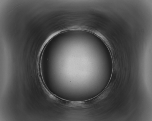 X0000085801486200703231319