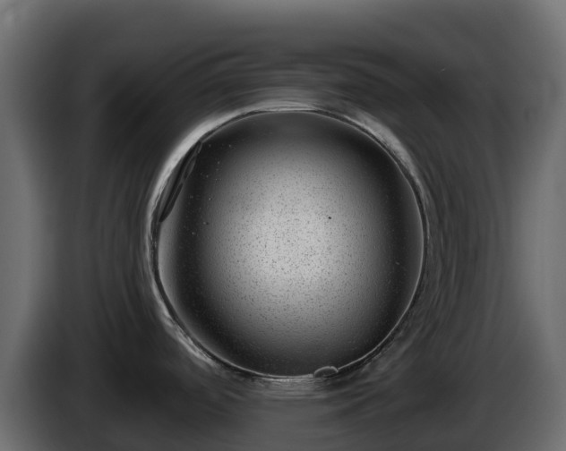 X0000085801488200703231319