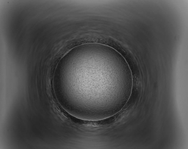 X0000085801489200703231318