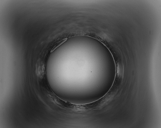 X0000085801492200703231318