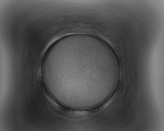 X0000085801498200703231318