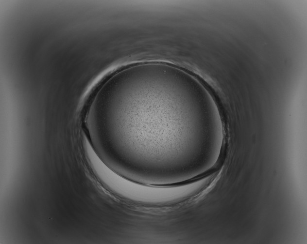 X0000085801502200703231318