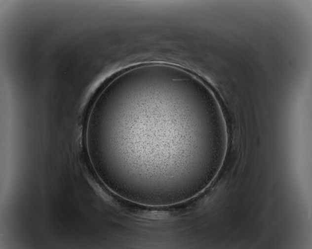 X0000085801503200703231318