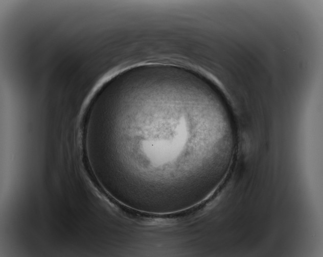 X0000085801506200703231318