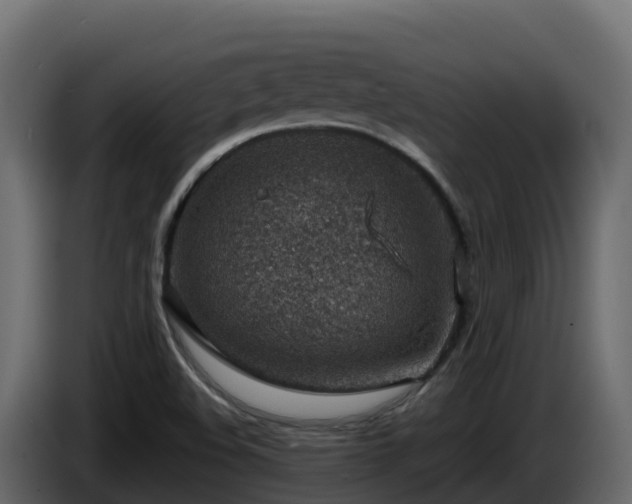X0000085801508200703231318