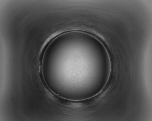 X0000085801509200703231318