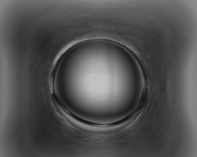 X0000085801510200703231318