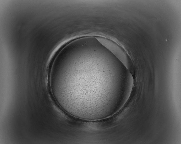 X0000085801511200703231318